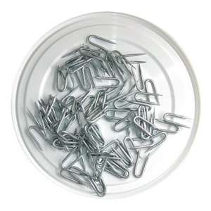 Galvanized Steel Wire Nails